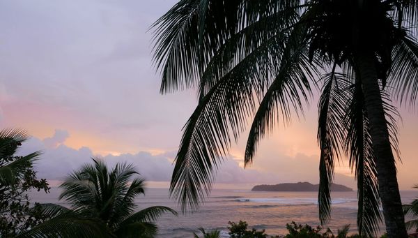 Santa Catalina